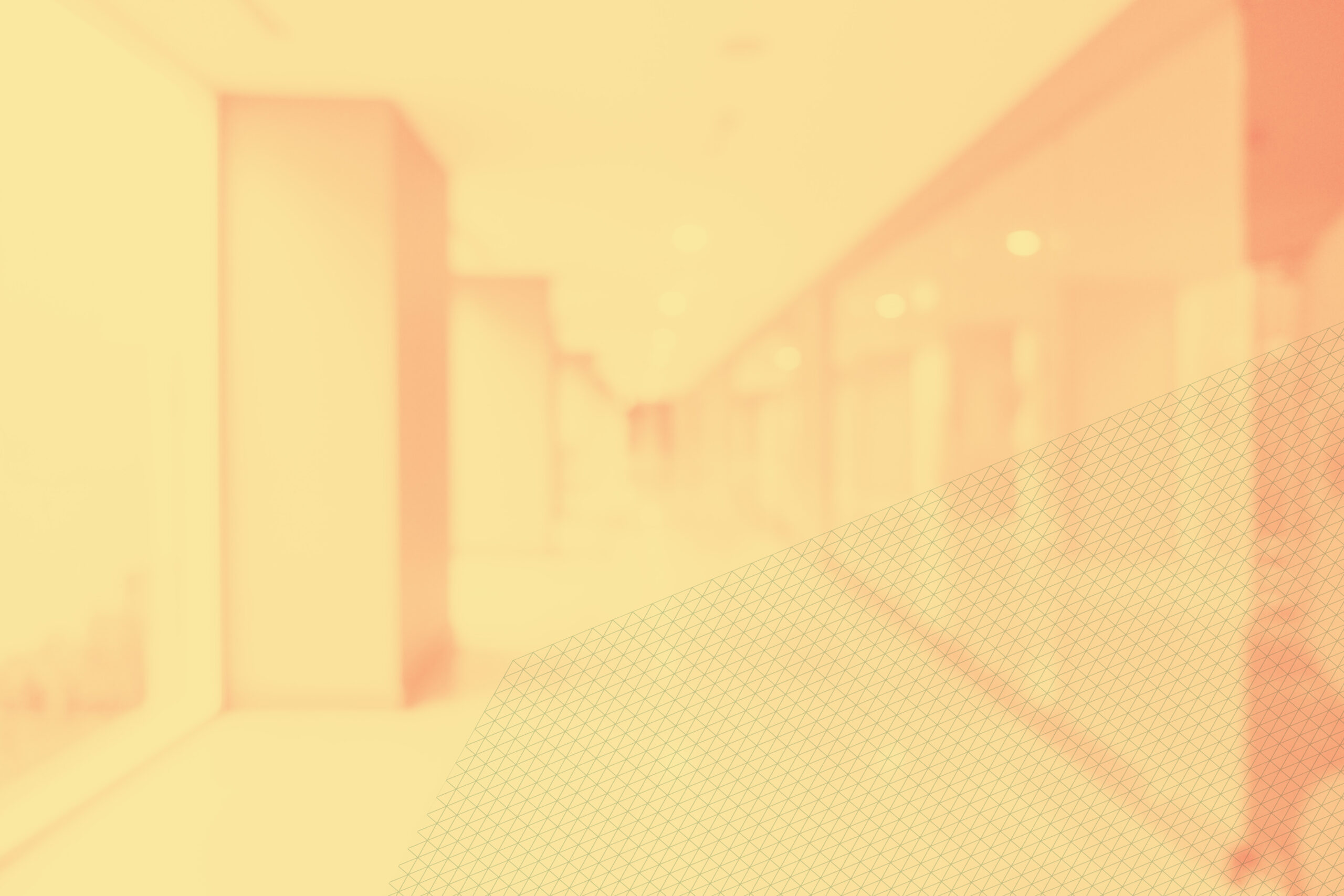 Blurry_gang_met_grid